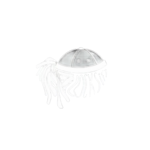 Locksify