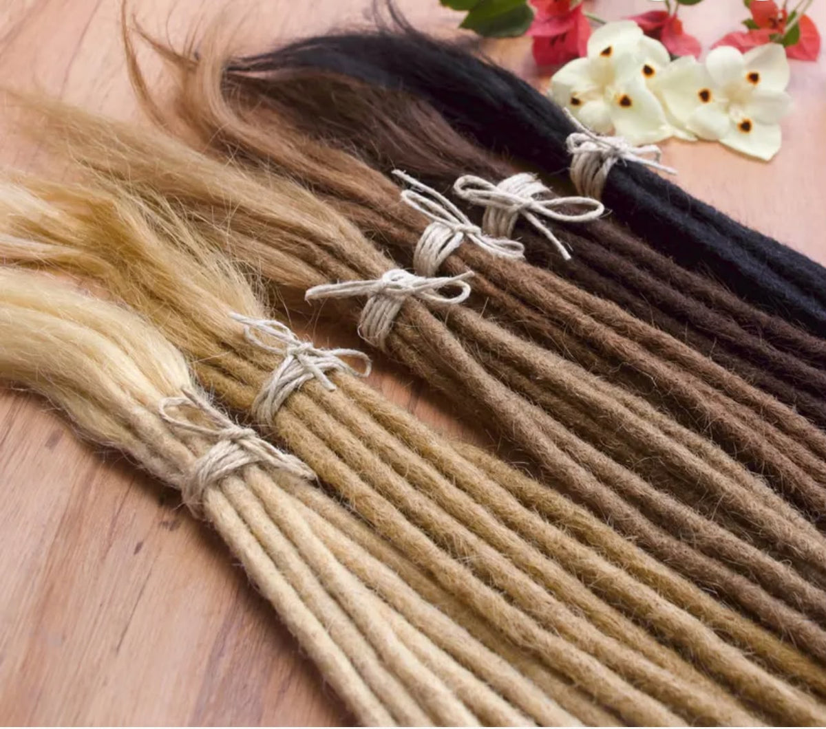 Extensions Locs Européenne